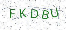 Bot Check