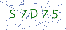 Bot Check