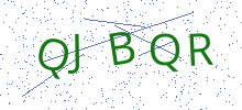Bot Check
