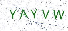 Bot Check