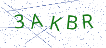 Bot Check