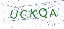 Bot Check