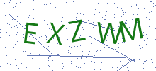 Bot Check