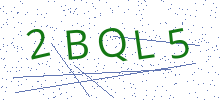 Bot Check