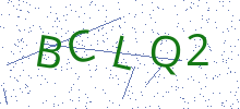 Bot Check