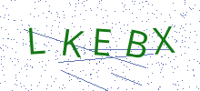 Bot Check