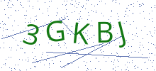 Bot Check