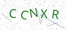 Bot Check