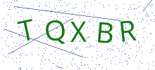 Bot Check