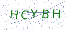 Bot Check