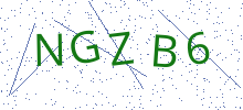 Bot Check