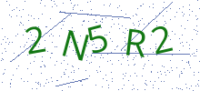 Bot Check