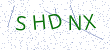 Bot Check