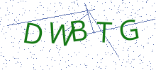 Bot Check