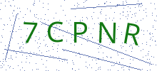 Bot Check