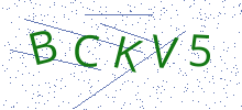 Bot Check