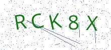 Bot Check