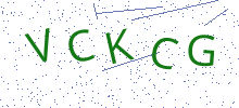 Bot Check