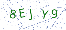 Bot Check