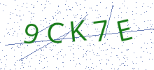 Bot Check