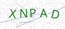 Bot Check