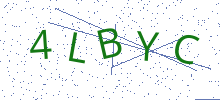 Bot Check