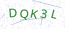 Bot Check