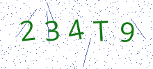 Bot Check