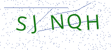 Bot Check