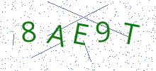 Bot Check