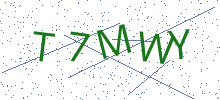 Bot Check