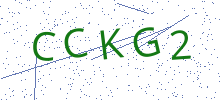 Bot Check
