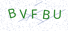 Bot Check