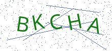 Bot Check