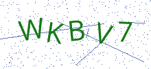 Bot Check