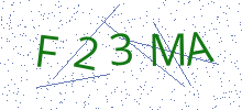 Bot Check