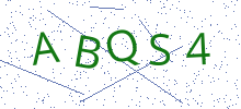 Bot Check