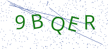 Bot Check