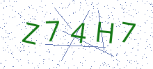 Bot Check