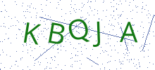 Bot Check