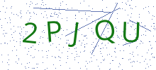 Bot Check