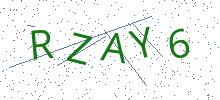 Bot Check