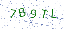 Bot Check