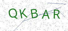 Bot Check