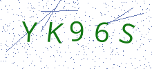 Bot Check