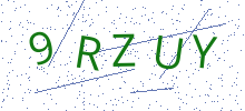Bot Check